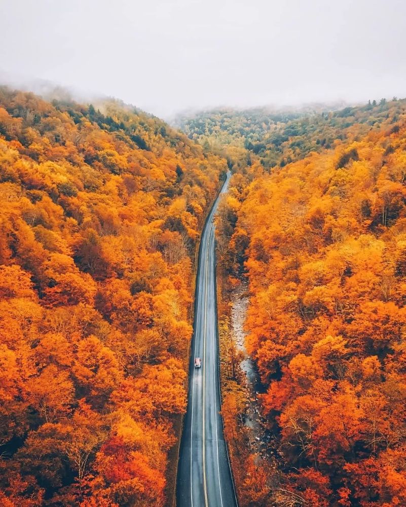 这才是通往秋天的公路,太美了!