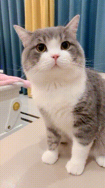 去跳广场舞,终于找到了这一辈子要守护的人