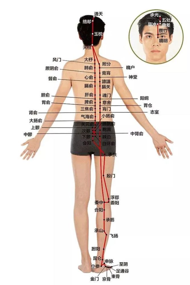 一个小动作,通督脉,赶百病!做完了肩不痛,腰不酸了