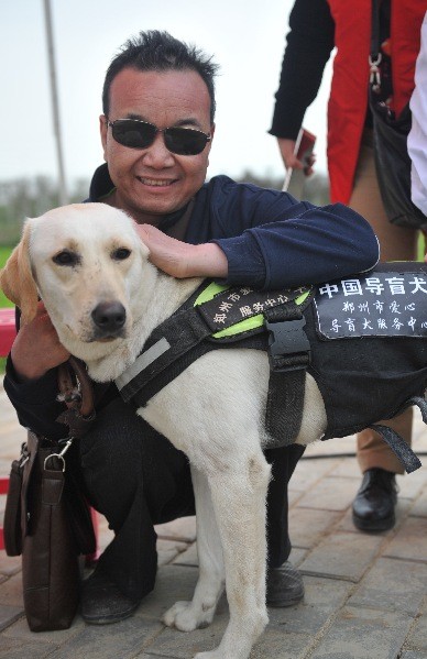 一名爱狗人士的心声