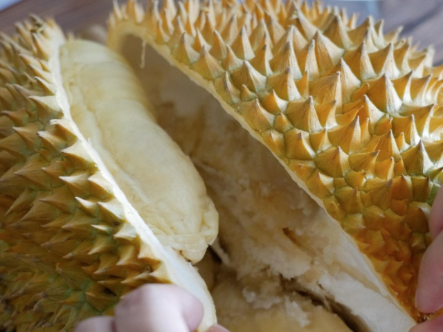 1.榴莲