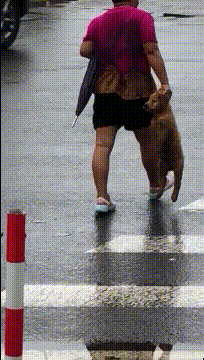 搞笑gif:熊:好冷啊,能不能再给加一床被子