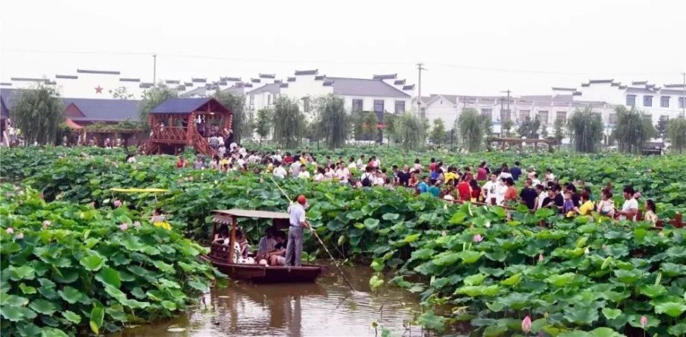 如皋市,南通,池村,江苏,平园