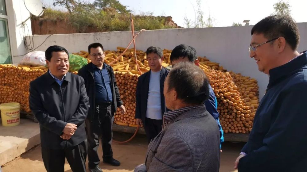 杨世林,准格尔旗,梁村,沙坪,龙口镇