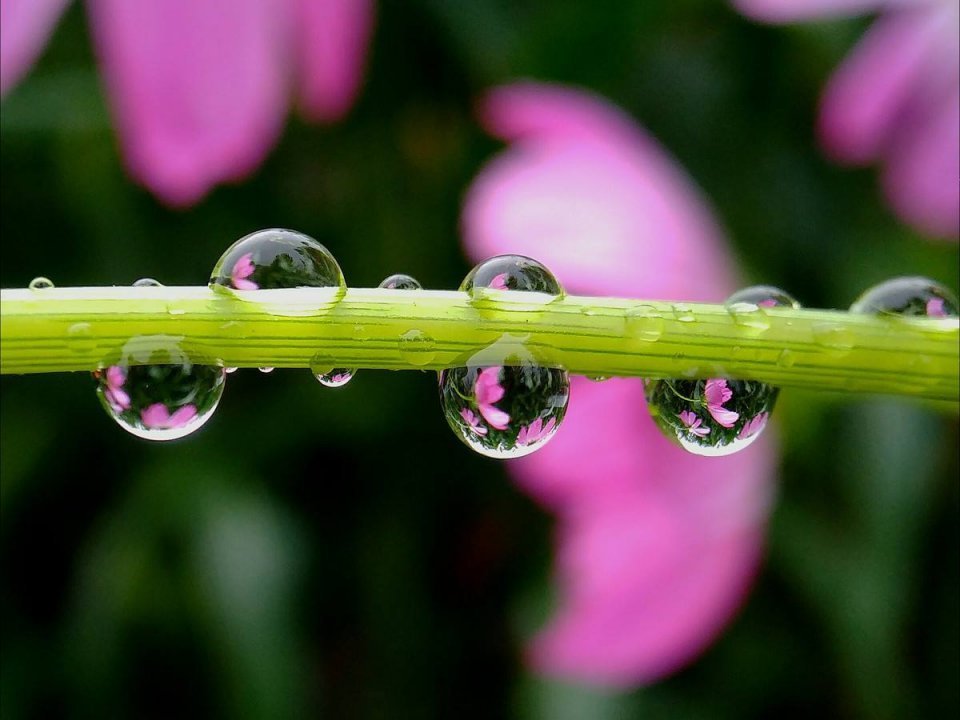 摄影技巧,摄影,雨天摄影,清明,下雨天摄影