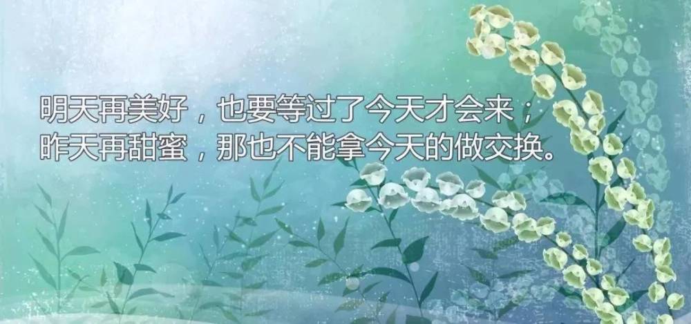 心情感悟励志语录,总有一句说进心里