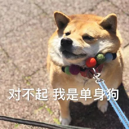 搞笑单身狗 doge 表情包,单身的快乐你根本想象不到