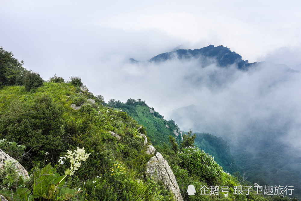 秦岭,光头山,秦岭顶,长安,西安