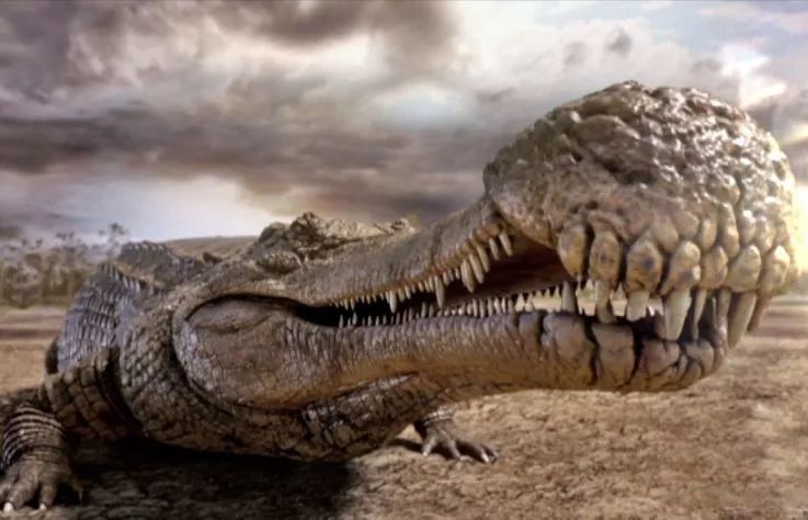 生吞恐龙?史前第一巨鳄,不能"死亡翻滚"兼可能只吃鱼!
