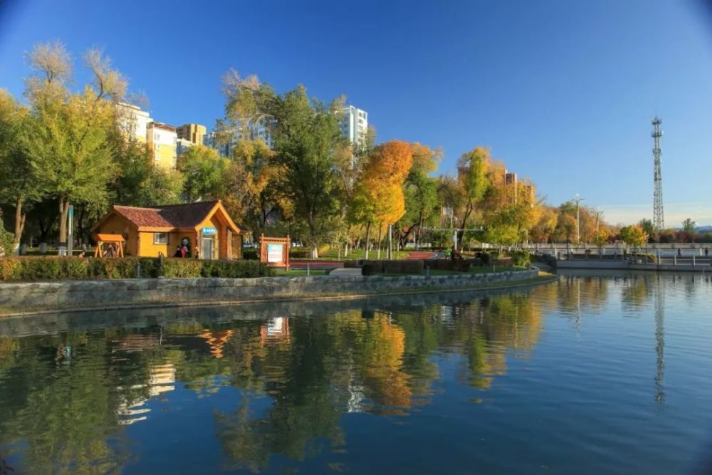 进入秋季,石河子明珠河秋意浓,成为城市一道亮丽的风景.