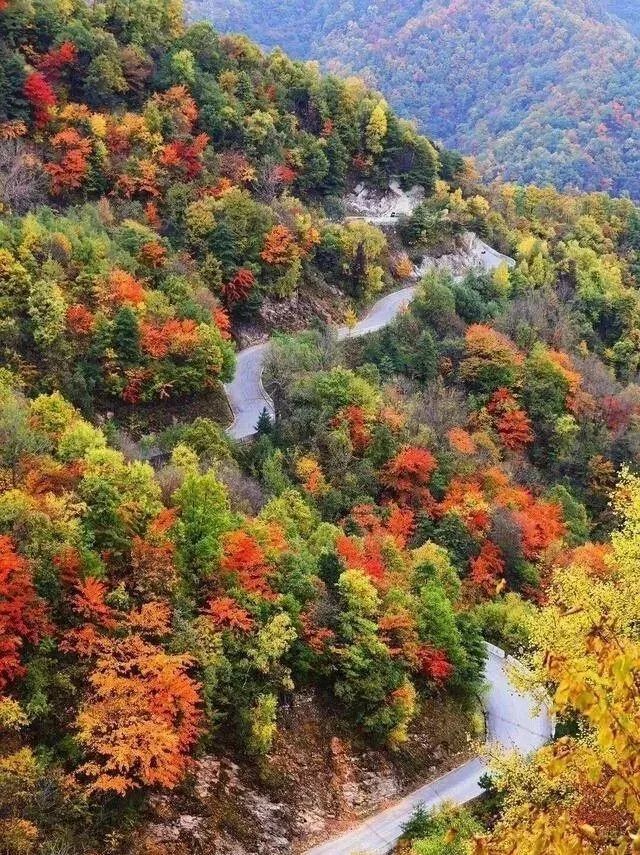 黄花岭—最美赏秋自驾游公路