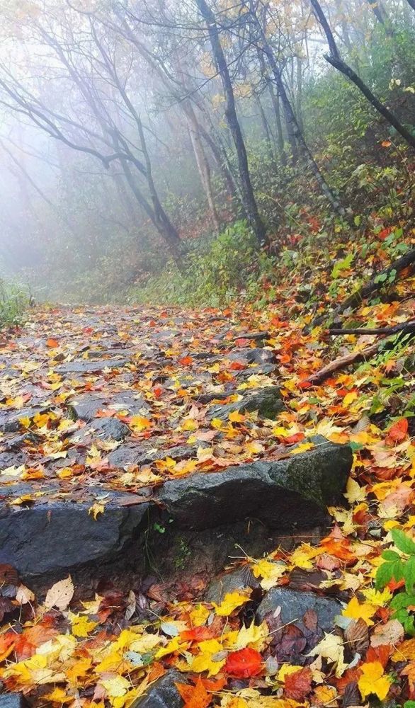 秦楚古道终南山 秋天是终南山最绚丽的季节