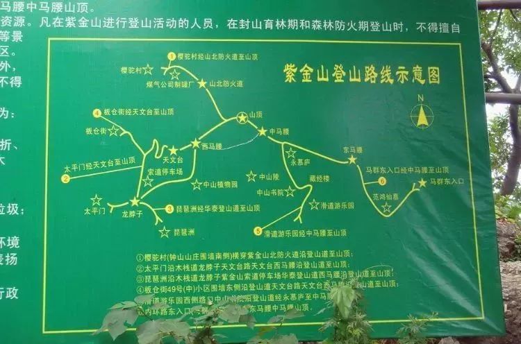 南京,梅花山,紫金山,清凉山,狮子山,阅江楼,古寺,银杏,栖霞区,秦淮