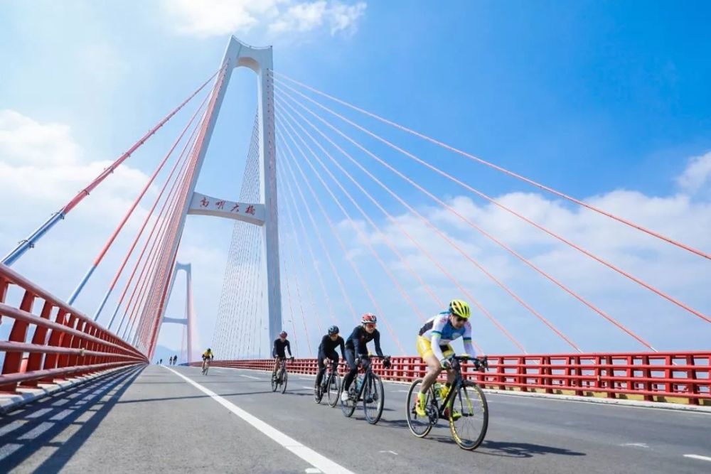 甬台温高速公路,高速公路,温州,环浙,瓯江口,苍南县