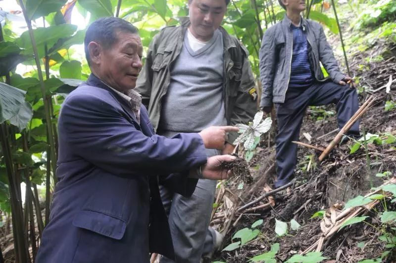 先锋故事┃高德荣:情系独龙江 一跃跨千年