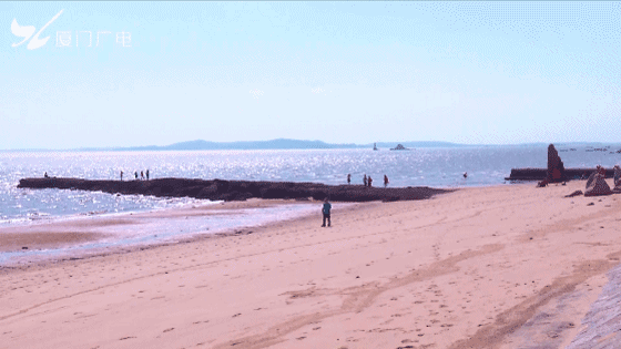 厦门环岛路新增3.3km黄金沙滩,地点就在
