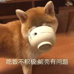 表情包:风里雨里,床上等你