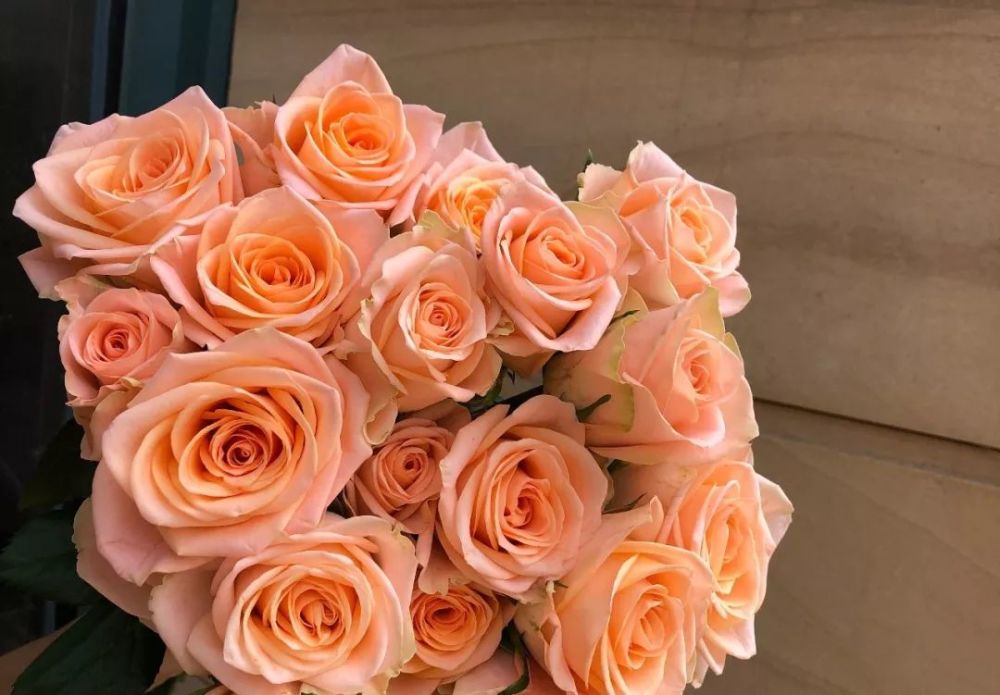 menta玫瑰,来自肯尼亚,花型经典,开放度绝佳,颜色复古耐看,香气自然