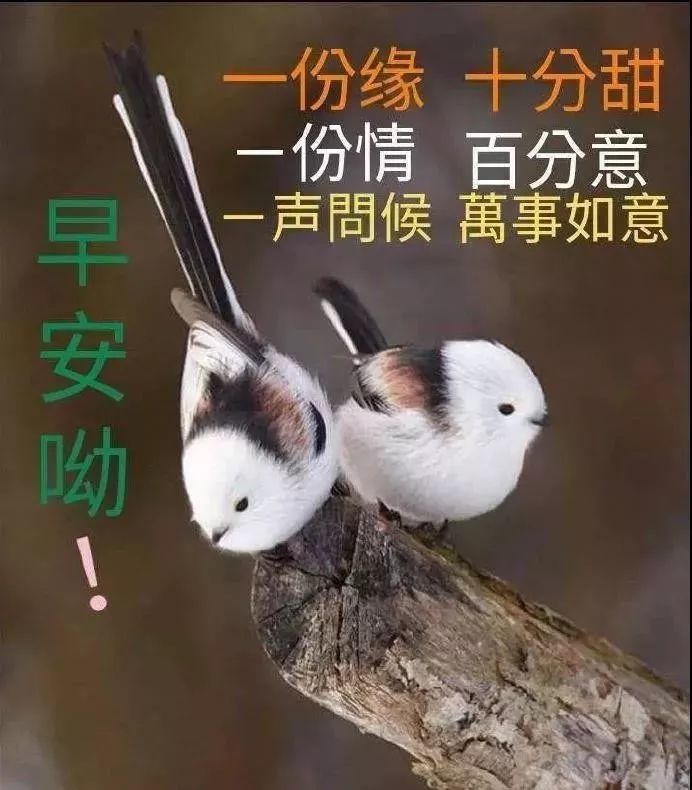 10月22日清晨早上好问候祝福动态表情图片 最美早晨好