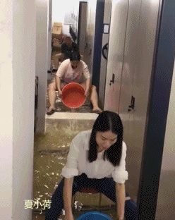 搞笑gif趣图:谁有炖狗肉的配方,今晚我要炖狗肉!
