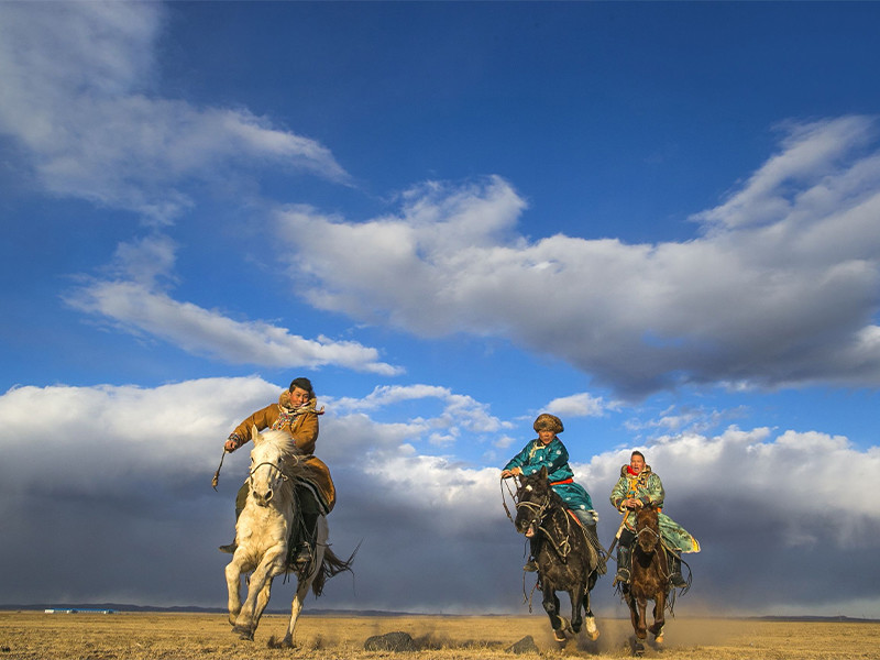 蒙古,内蒙古人,游牧民族,奇闻趣事,社会