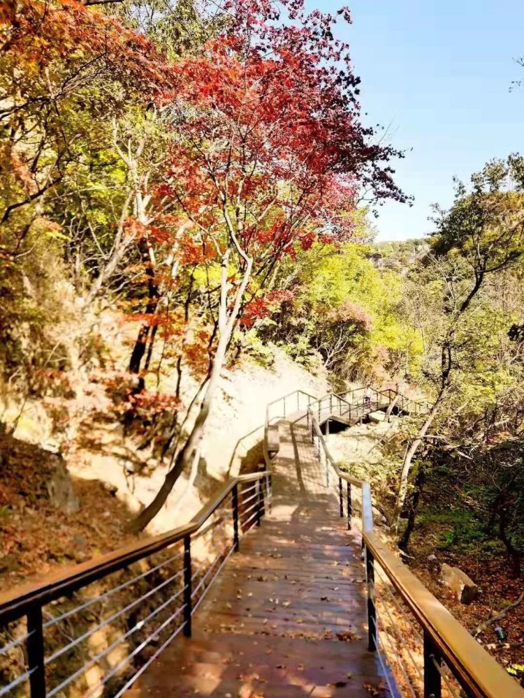 栈道,辽阳县,核伙沟,美丽乡村建设,枫叶,自然风景区