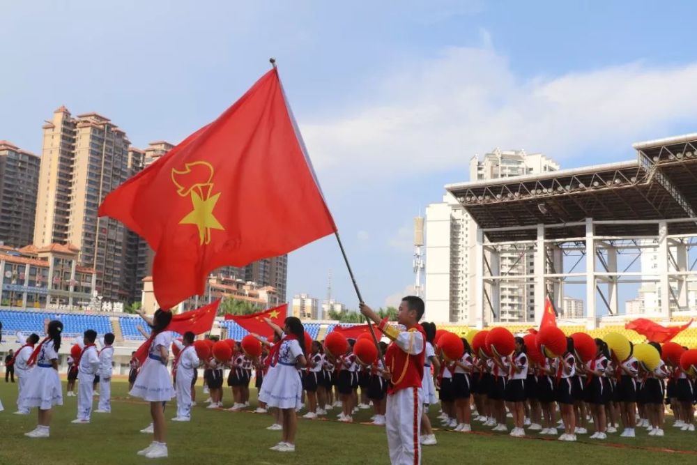 中国少年先锋队,新时代,少先队员
