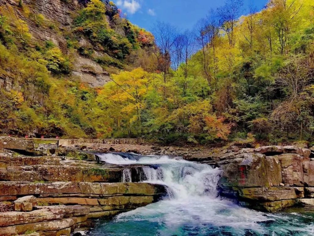 旅游景区,黎坪,汉中,红叶
