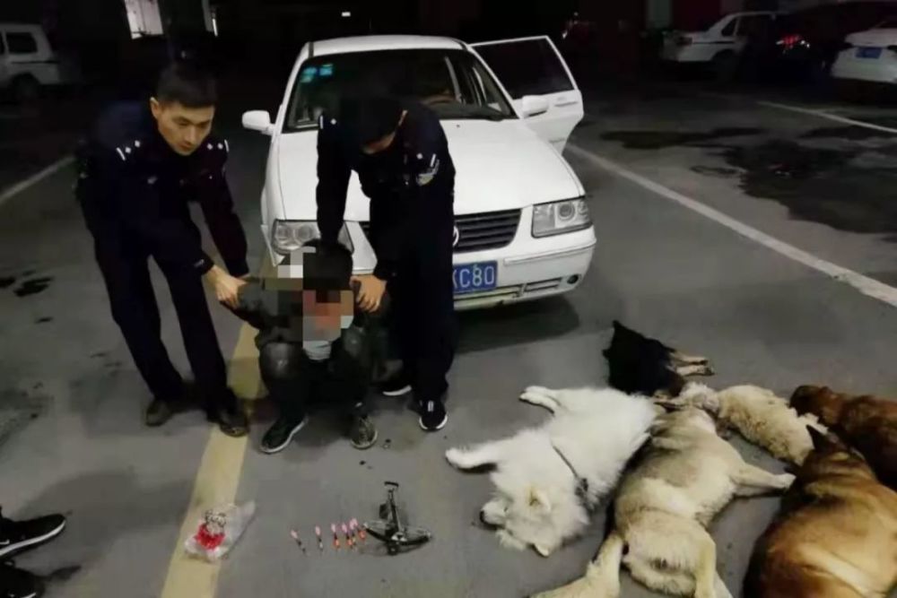 你可能并不爱狗!