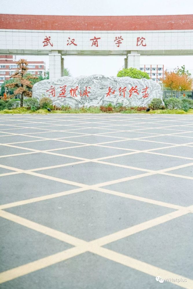 来武汉商学院骑马啊!