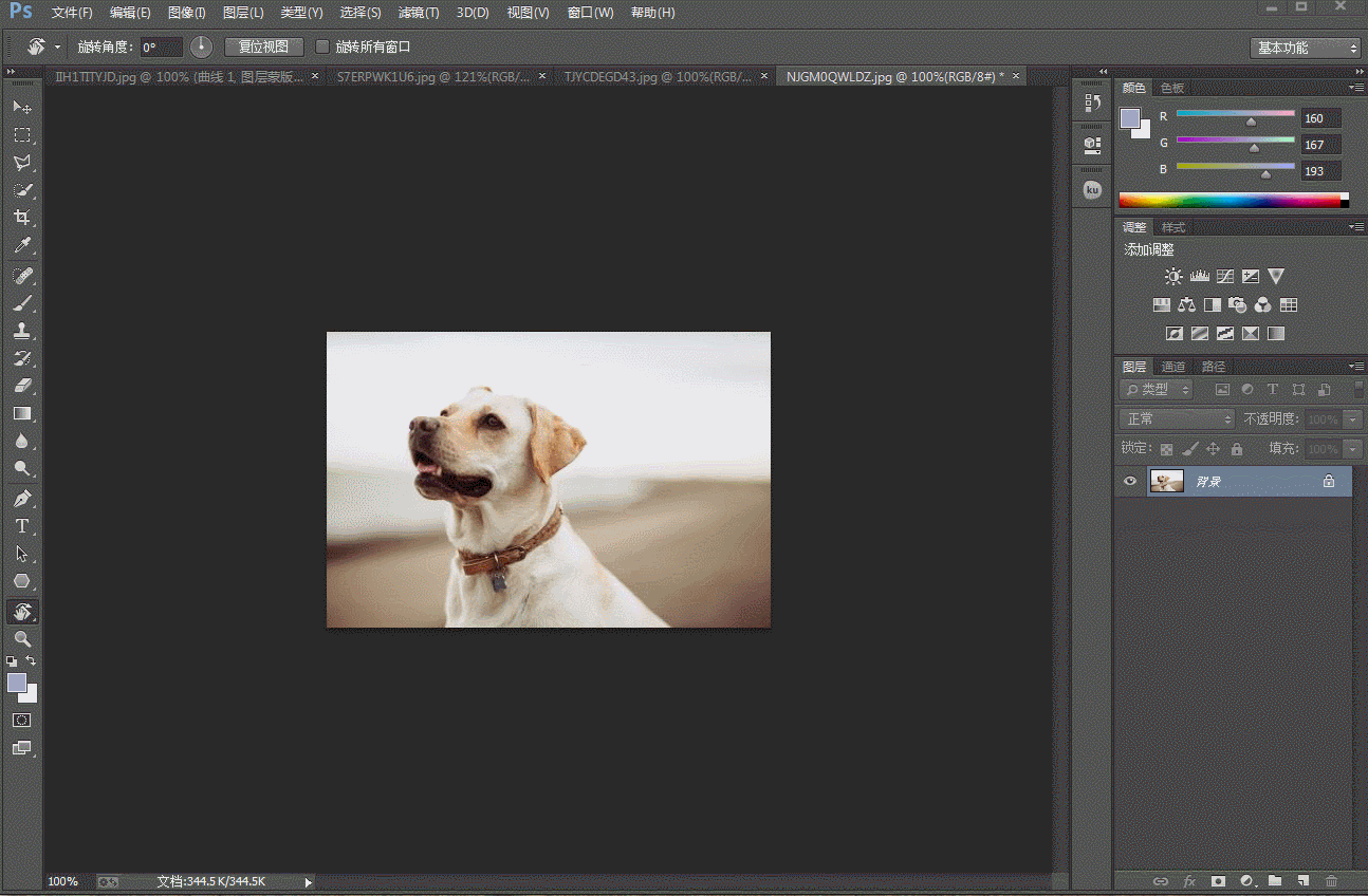 1294_848gif 动态图 动图