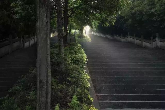 白市驿登山步道森林公园