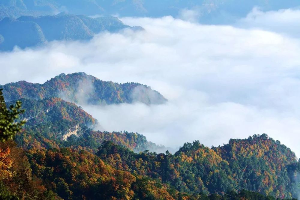 曾家山和水磨沟入傍"中国森林氧吧"!