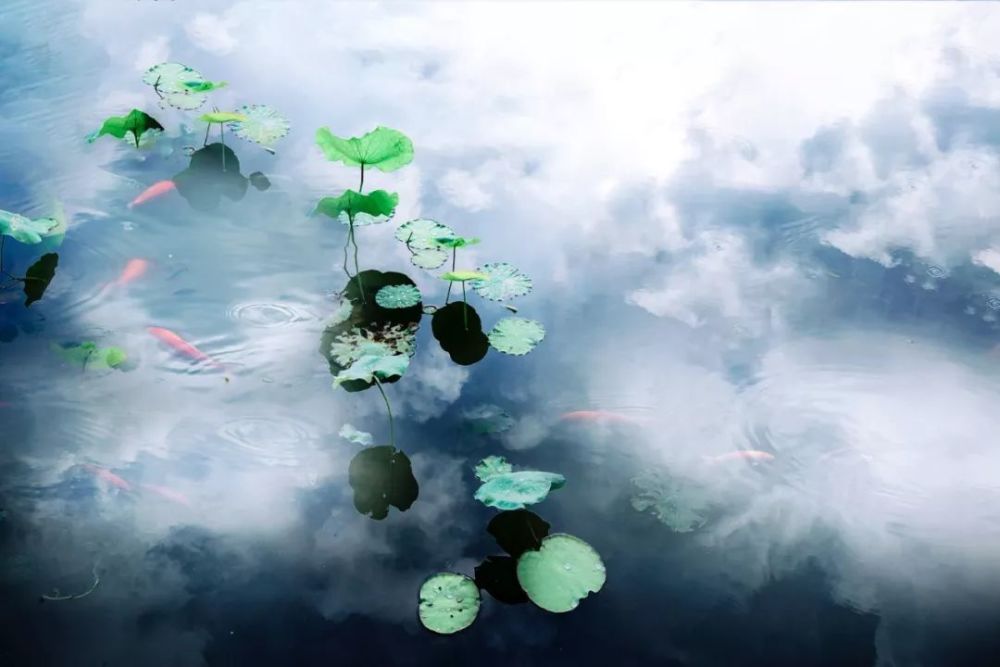 天青色等烟雨,我等你