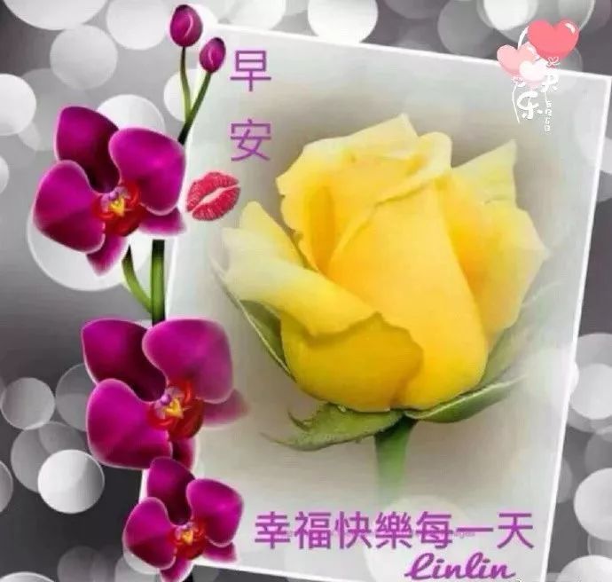 健康,快乐每一天,早上好-天天快报