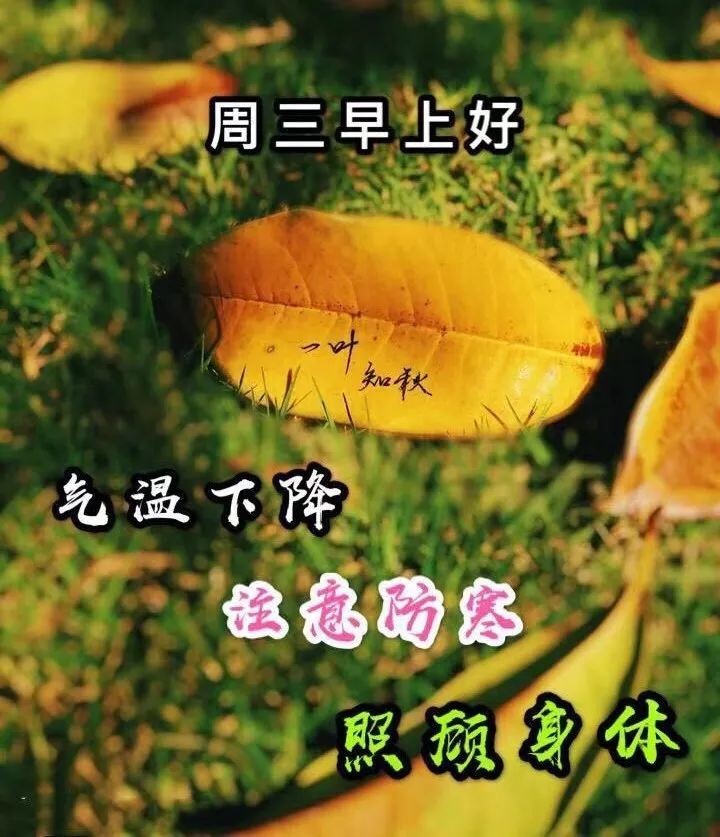 早上好,天冷了,深秋最美的早晨祝福语图片大全
