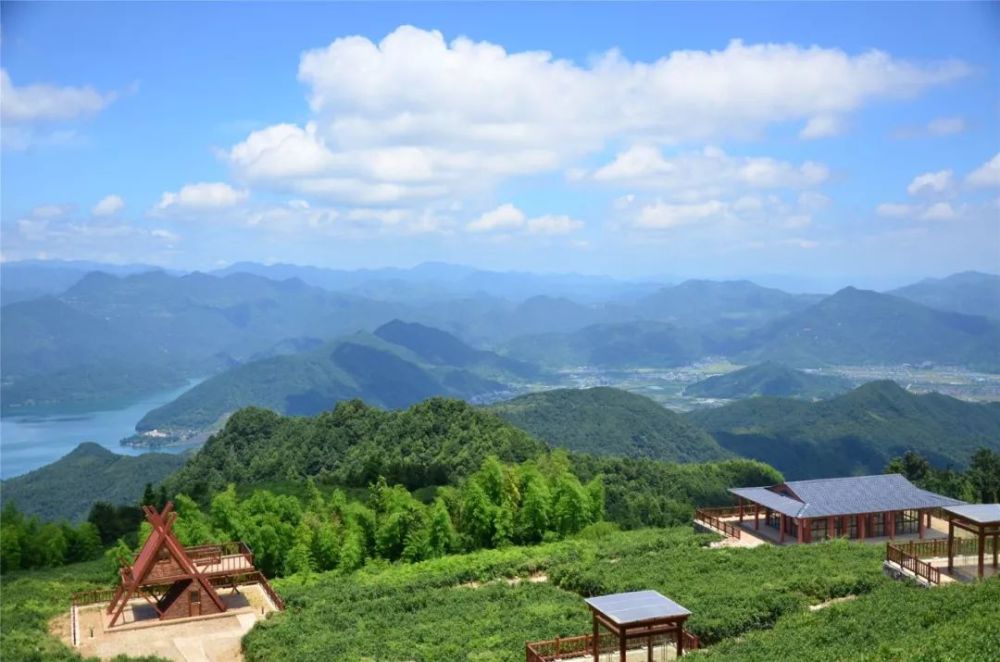 黄岩,平田乡,生态旅游,茶园