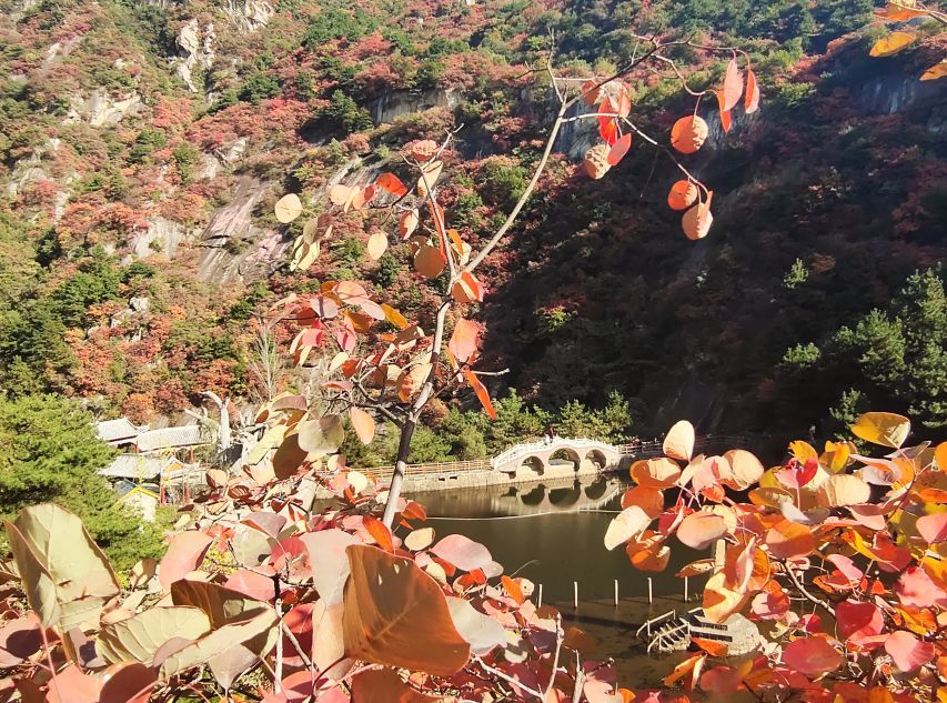 嵩县,车村镇,洛阳,天山天池,天池山,伏牛山