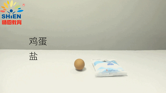 鸡蛋能立在盐上的原理是什么_鸡蛋放盐立起来的原理