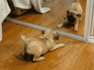 往下看 第一步  拍照 当然是给键盘,不是给自己哦 ps:记住她长什么样