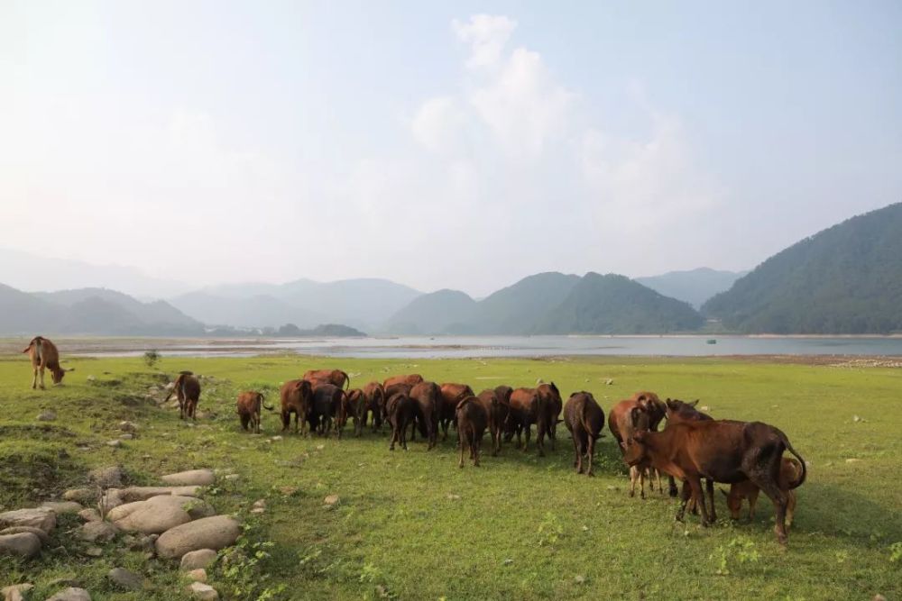 周末玩转曲江罗坑大草原,一起去露营探险 仰望星空