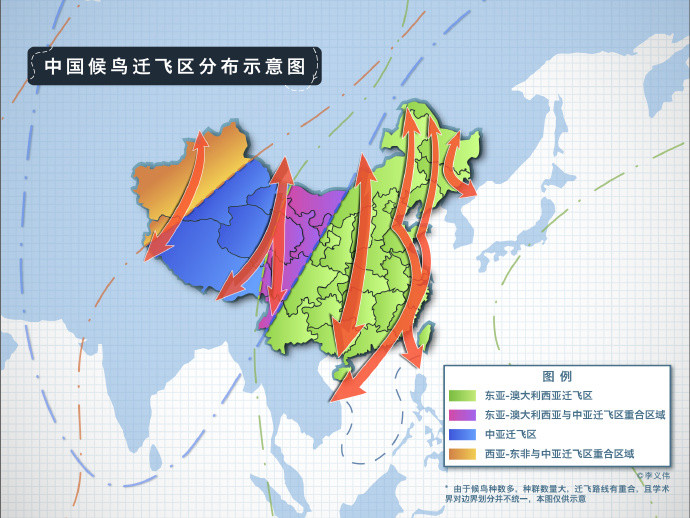 再次,看看中国三大候鸟迁徙路线有没有经你家门口