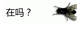 你屏幕上有只苍蝇在动