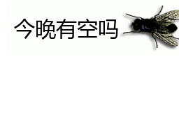 会动的苍蝇表情包 | 你的屏幕上有只苍蝇(32张)