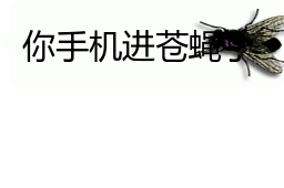会动的苍蝇表情包你的屏幕上有只苍蝇32张