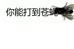 会动的苍蝇表情包你的屏幕上有只苍蝇32张