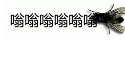 会动的苍蝇表情包 | 你的屏幕上有只苍蝇(32张)
