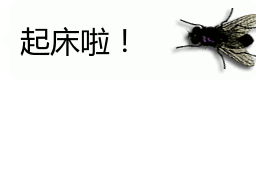 会动的苍蝇表情包你的屏幕上有只苍蝇32张