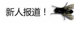 会动的苍蝇表情包你的屏幕上有只苍蝇32张