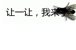 你屏幕上有只苍蝇在动
